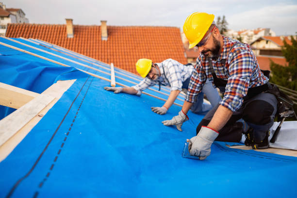 Best Roof Gutter Cleaning  in Goshen, KY